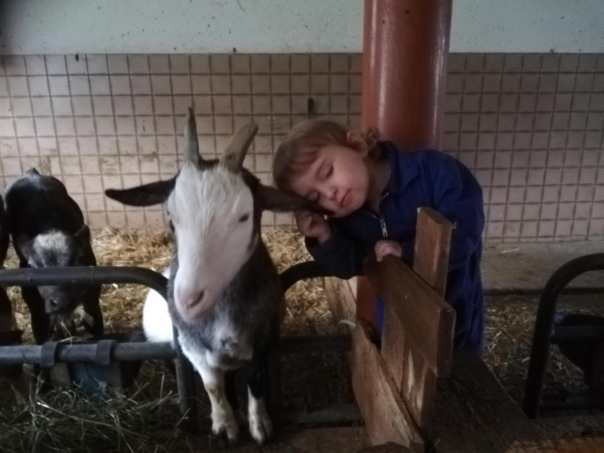 Ferienwohnung Hauser Aschau Im Zillertal Bagian luar foto